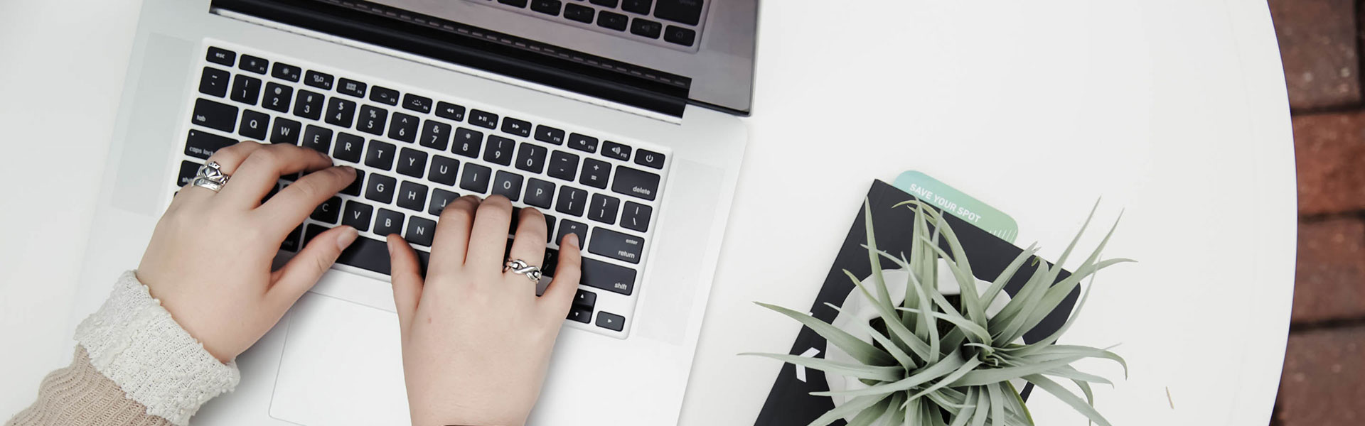 Hands typing on a laptop with a plant to the right. 