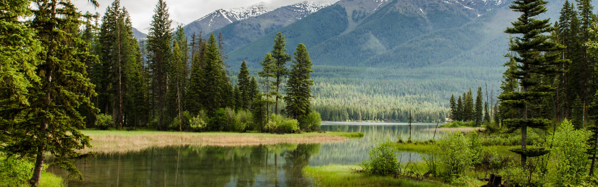 river mountains and trees
