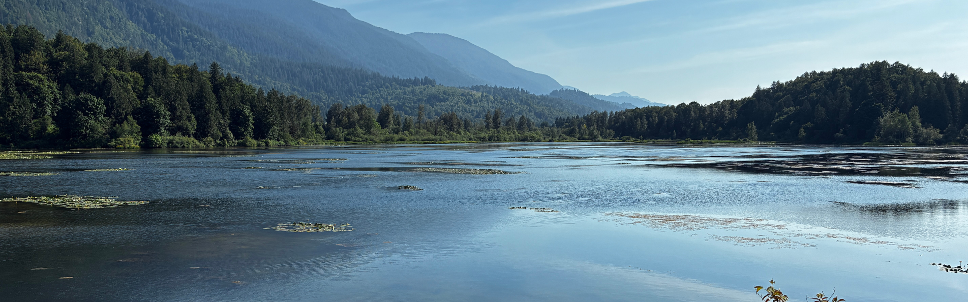 landscape with water and mountains
