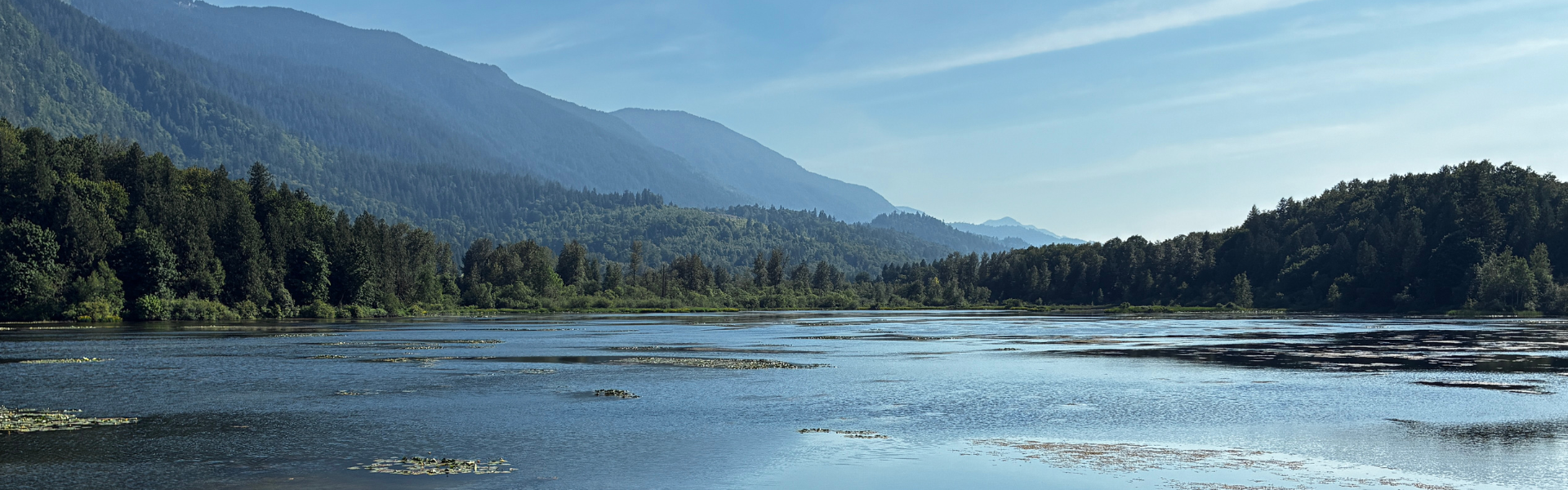 A view of wetlands against a background of sloping mountains. 