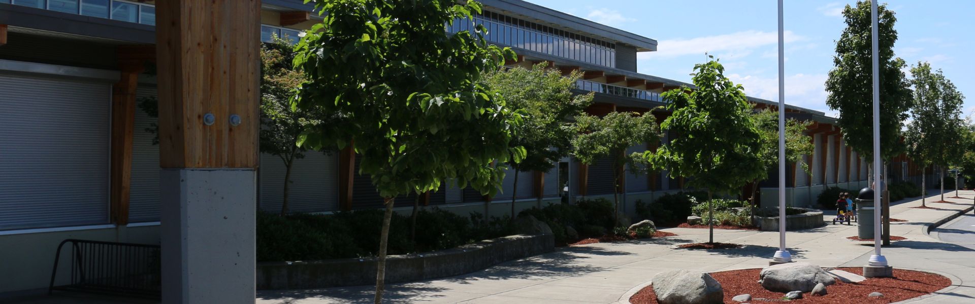 It the background, children are riding their bikes on a treed sidewalk in front of a school. 