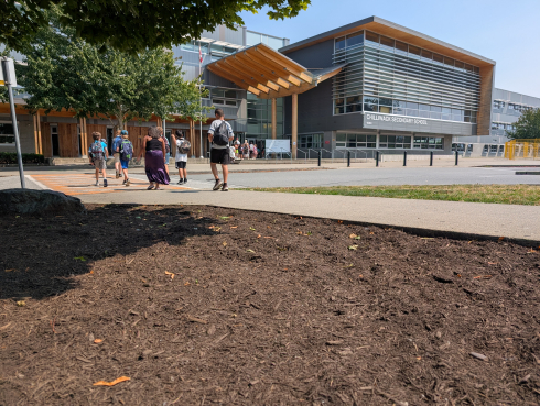 Students walk towards a grey school building with wood features. 