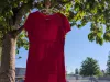 A red dress hangs in a tree. There is a school in the background. 