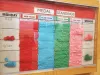 A red, blue, green and yellow displays shows the medal count for a school's Fact Fluency Olympics. 